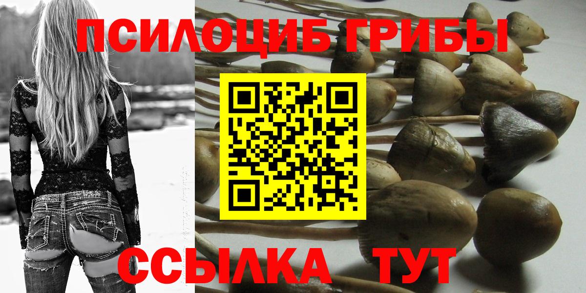 Галлюциногенные грибы мицелий  Вход с VPN  Дивногорск 