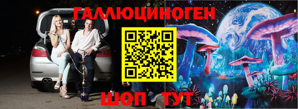 Псилоцибиновые грибы GOLDEN TEACHER Дивногорск